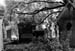 pere lachaise 2