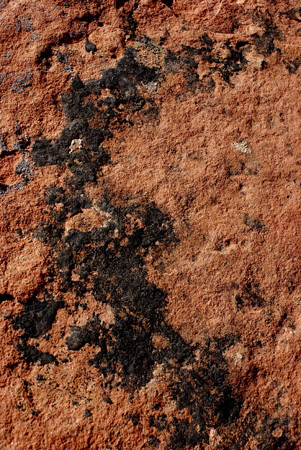 red rock with mold 1