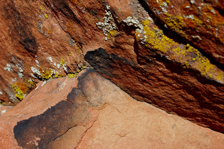 red rock with mold 3