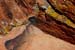 red rock with mold 3