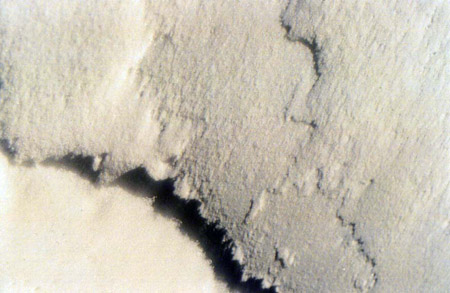 winter shadows 2
