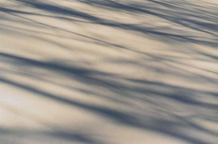winter shadows 5